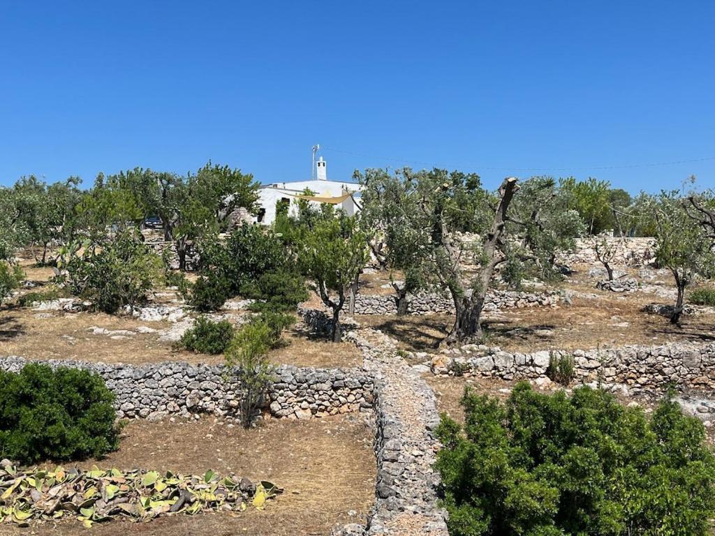 Casa Giuliveto - Charmantes Ferienhaus Mit Privatpool In Olivenhain Ostuni Buitenkant foto
