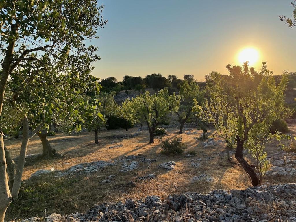 Casa Giuliveto - Charmantes Ferienhaus Mit Privatpool In Olivenhain Ostuni Buitenkant foto