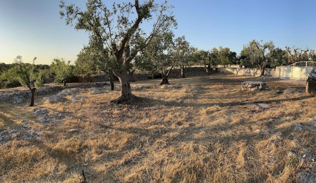 Casa Giuliveto - Charmantes Ferienhaus Mit Privatpool In Olivenhain Ostuni Buitenkant foto