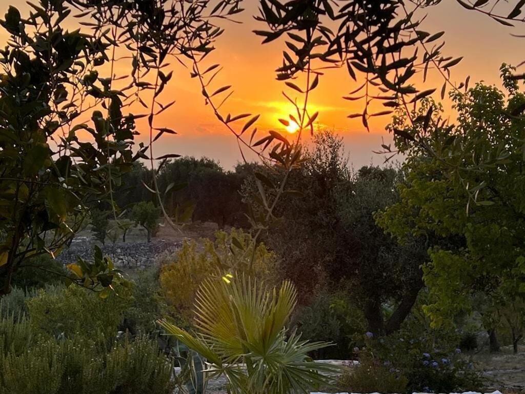 Casa Giuliveto - Charmantes Ferienhaus Mit Privatpool In Olivenhain Ostuni Buitenkant foto