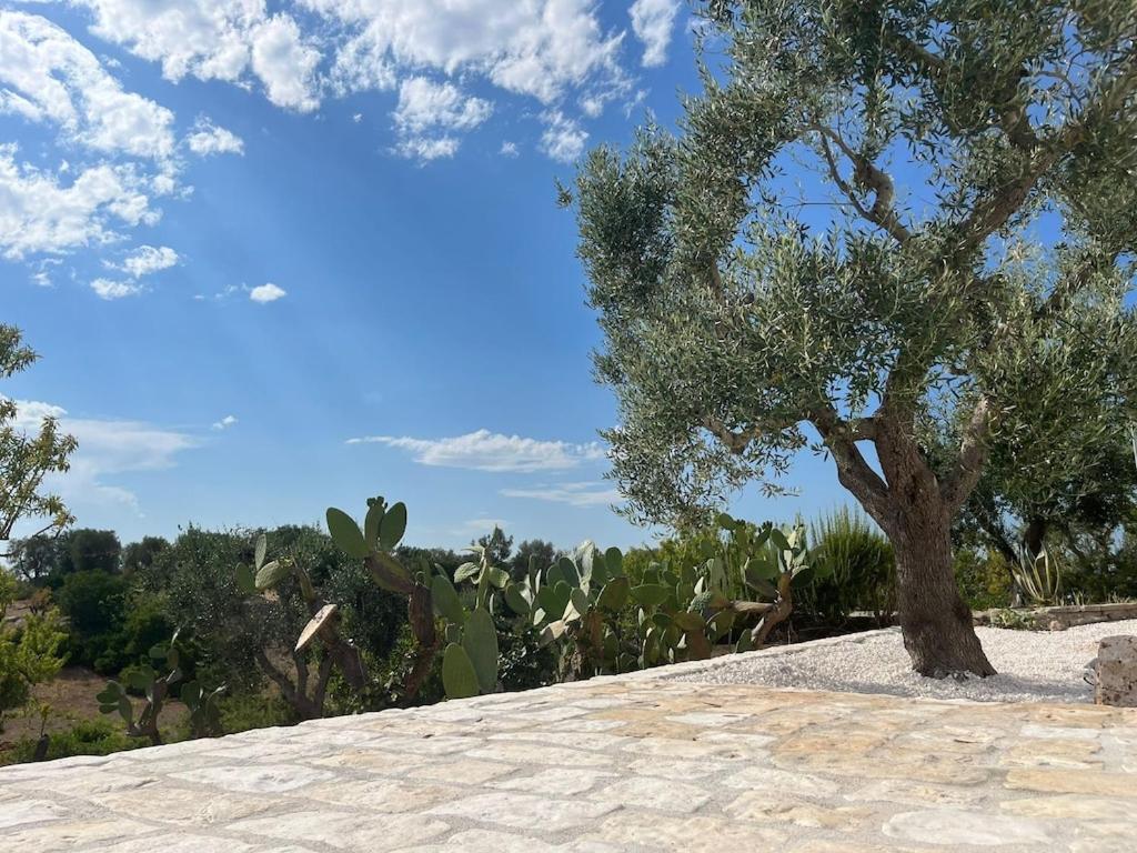 Casa Giuliveto - Charmantes Ferienhaus Mit Privatpool In Olivenhain Ostuni Buitenkant foto